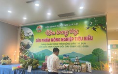 Gia Lai nâng cao hiệu quả hoạt động của hợp tác xã, kinh tế tập thể trong nông nghiệp