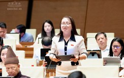 ĐBQH: Không thể để quy hoạch kéo dài vô thời hạn khiến dân bị hạn chế quyền sử dụng đất