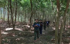 Tìm thấy 13 hài cốt liệt sĩ cùng nhiều di vật trong rừng tràm ở Quảng Trị