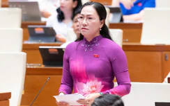 Đại biểu Quốc hội đề nghị hoàn thiện chế độ, chính sách đối với viên chức cấp xã