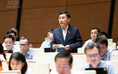 ĐBQH: Người dân còn giữ khoảng 500 tấn vàng, vốn không chảy vào sản xuất