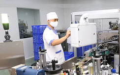 Ninh Bình: Chấp thuận dự án nhà máy thuốc đạt chuẩn GMP gần 1.200 tỷ đồng