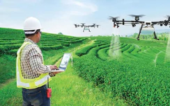 Dữ liệu sạch - “tấm hộ chiếu” mở rộng thị trường cho hợp tác xã