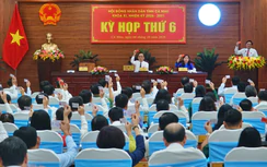 Cà Mau: Thông qua nghị quyết quy định về nhà ở xã hội khu vực nông thôn