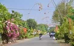 Giữ hồn quê với con đường nêu rực rỡ đón Tết giữa vùng đất công nghiệp Đồng Nai