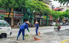 Những người giữ mùa Xuân sạch đẹp cho đô thị Ninh Bình