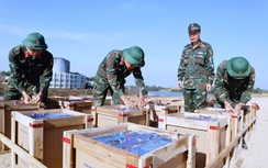 Trận địa pháo hoa các tỉnh phía Nam sẵn sàng khai hỏa chào năm mới Bính Ngọ 2026