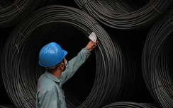 Vì sao doanh nghiệp vật liệu xây dựng cần chủ động dán nhãn năng lượng?