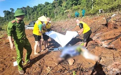 Tin tức tai nạn giao thông mới nhất hôm nay 19/2/2026