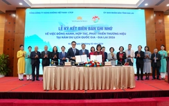 Vietnam Airlines ra mắt chuỗi hoạt động “Bay cao khát vọng Việt Nam”