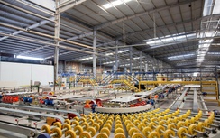 Doanh nghiệp vật liệu tư nhân kỳ vọng môi trường kinh doanh minh bạch, thông thoáng