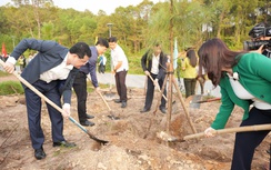 Phát động trồng hàng triệu cây xanh cải thiện môi trường tại Khánh Hòa và TP Huế