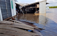 Gần 150 tỷ đồng xây kè chống sạt lở khu dân cư thị trấn Năm Căn ở Cà Mau