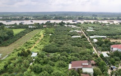 Đồng Nai tăng tốc xây dựng nông thôn mới, năm 2026 phấn đấu thêm 5 xã đạt chuẩn