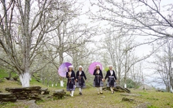 Lễ hội hoa lê Hồng Thái - điểm hẹn vùng cao Tuyên Quang