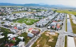 Bản tin BĐS 27/2: Lập đường dây nóng tiếp nhận phản ánh sai phạm đất đai phạm vi toàn quốc