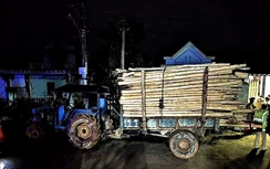 Huế: Xe máy va chạm xe chở keo tràm, hai chị em tử vong thương tâm