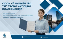CICON và nguyên tắc "3T" trong xây dựng doanh nghiệp