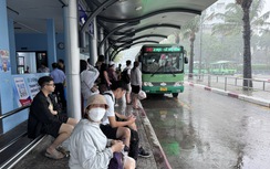 TP.HCM: Cao điểm vận tải công cộng 20 ngày phục vụ Tết và lễ hội xuân Bính Ngọ