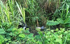 Lâm Đồng: Phát hiện thi thể nam sinh viên dưới chân đèo Chuối sau hơn 2 ngày mất tích