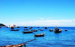 Cần Thơ thực hiện dự án gần 1.000 tỷ đồng nâng cấp hạ tầng cho ngành thủy sản