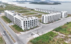 Quảng Ninh: Rà soát toàn diện dự án đô thị ở Cao Xanh, quyết tháo gỡ điểm nghẽn pháp lý