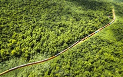 Thông tuyến đường sắt qua đèo Hải Vân sau sự cố đá lăn