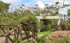 Cà Mau đầu tư gần 20 tỷ đồng nâng cấp đường vào Vườn chim Bạc Liêu