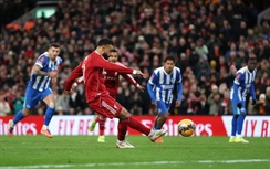 Nhận định Brighton và Liverpool (19h30 ngày 21/3), Ngoại hạng Anh 2025-2026