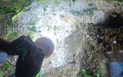 Mưa đá trong đêm gây thiệt hại tại nhiều xã vùng cao Tuyên Quang