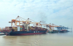 Hàng lỏng qua cảng biển Hải Phòng giảm, nhiều hãng tàu lớn thu thêm phụ phí