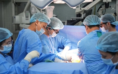 Những thùng “hành lý đặc biệt” và hành trình trao sự sống