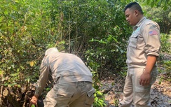 Huế: Phát hiện hai quả đạn pháo sót lại sau chiến tranh