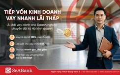 SeABank ưu đãi đặc biệt cho hộ kinh doanh, doanh nghiệp siêu nhỏ