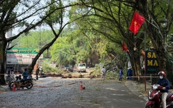 Phú Thọ: Ảnh hưởng mưa dông, nhiều tài sản và hoa màu bị thiệt hại