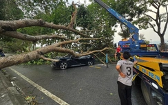 Dông lốc tại Lào Cai làm 3 người bị thương, hơn 4.100 nhà dân tốc mái