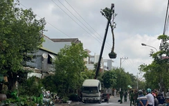 Bản tin TNGT 31/3: Xe cẩu chạm dây điện phát nổ, tài xế tử vong ở Lâm Đồng