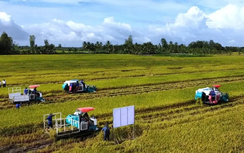 Doanh nghiệp, hiệp hội chung tay giữ nhịp sản xuất nông nghiệp