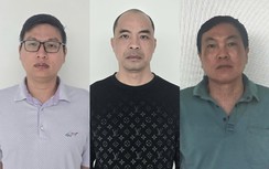Tuyên Quang: Khởi tố ba giám đốc công ty vì trốn thuế