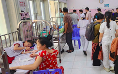 TP.HCM: Xác định tác nhân gây ngộ độc cho hơn 200 học sinh Trường Tiểu học Bình Quới Tây