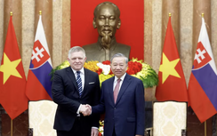 Việt Nam - Slovakia chú trọng thành lập dự án "hải đăng" trong lĩnh vực công nghiệp ô tô