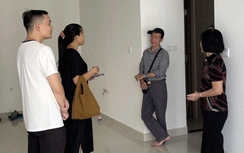 Lợi nhuận cho thuê căn hộ giảm