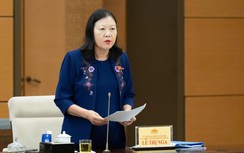 Nhiều luật có hiệu lực nhưng còn nợ phần lớn văn bản quy định chi tiết