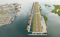 Định vị Cần Giờ là “cảng 5 sao”, không cạnh tranh Cái Mép - Thị Vải