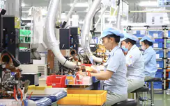 Thị trường lao động TP.HCM lệch pha, nhóm 30 - 45 tuổi chịu áp lực lớn