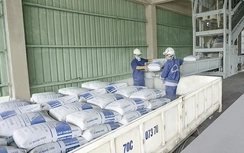 Gần 10 triệu tấn xi măng, clinker xuất khẩu sau 3 tháng: Tín hiệu lạc quan từ thị trường