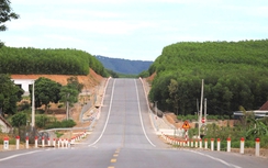 Nghệ An: Đề xuất thay thế nhiều cụm đèn tín hiệu trên tuyến quốc lộ 7C