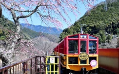 Tuyến tàu có phong cảnh đẹp nhất thế giới