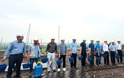 Cất nóc dự án nhà ở xã hội quy mô hơn 1.150 căn tại Phú Thọ