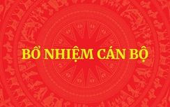 Thủ tướng phê chuẩn kết quả bầu Chủ tịch, Phó Chủ tịch UBND cấp tỉnh nhiệm kỳ 2026-2031